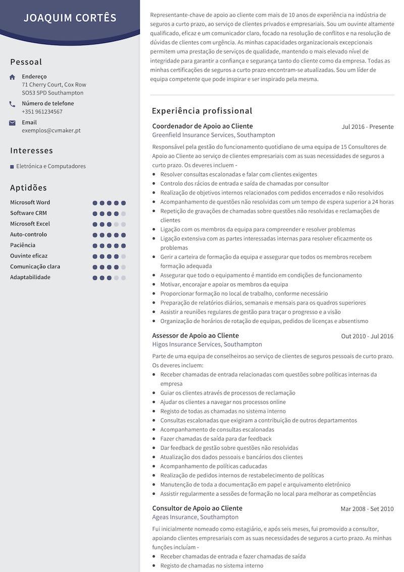 cv exemplo